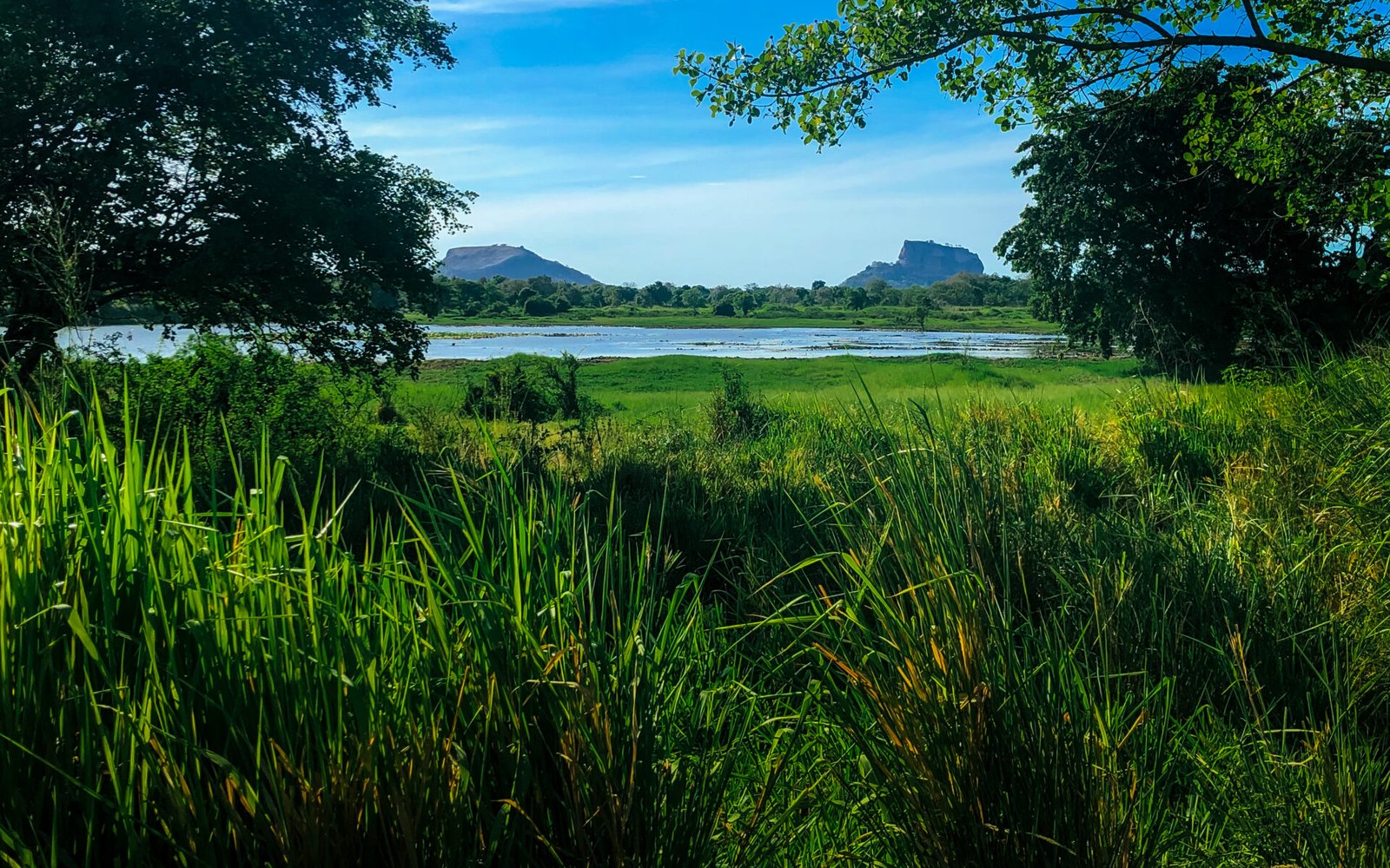 A Sunny Day at The Sigiriyal Rock