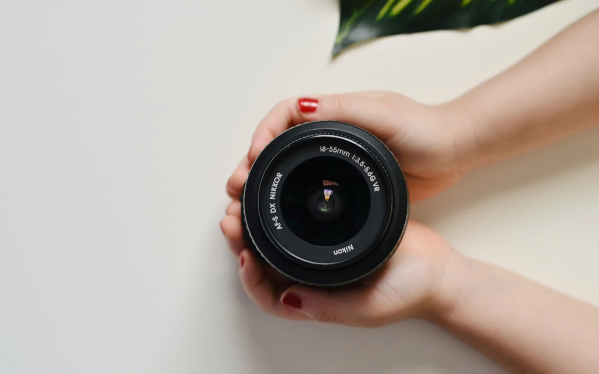 My Journey with Budget Lenses (18-55mm & 35mm): A Beginner’s Guide